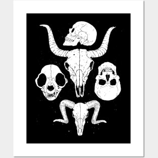 Skullz Posters and Art